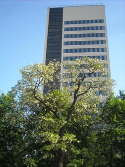 MAJ 2012